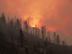 Горски пожари изпепелиха стотици къщи в Калифорния