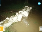 Невиждан порой блокира главния път за Турция