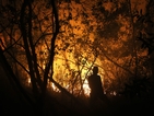 Индонезия се бори с горски пожари