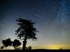 Орионидите предлагат зрелищен звездопад в четвъртък