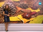 Прогноза за времето (02.11.2015 - сутрешна)