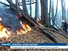 Пожарът в Габровско е овладян
