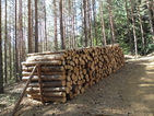 Новата система за проследяване на дървесината заработва до 2 месеца