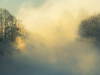Жълт код за гъсти мъгли в 11 области у нас в понеделник