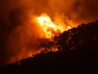 Сто къщи са изпепелени от пожар в Австралия