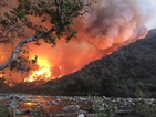 Пожари в Калифорния изпепелиха близо 4000 декара