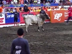 "Хуманна" борба с бикове в Коста Рика