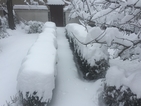 НИМХ: Снежната покривка в страната достига до 40 см
