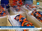 Облякоха новородени в цветовете на футболен отбор в Денвър
