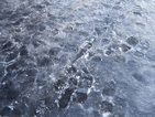 Само за денонощие: 140 пострадали на леда - в "Пирогов"
