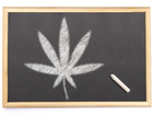 Съдът върна в училище ученик, преместен заради марихуана