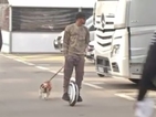 Как Люис Хамилтън разхожда кучето си? (ВИДЕО)