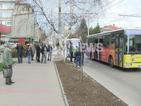Автобус уби възрастен мъж на пешеходна пътека