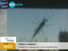 "Моята новина": Комари като врабчета