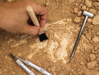 Учени откриха останки на 12 200 години