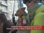 Защо природозащитниците влязоха в клетки?