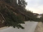 Отсечено дърво блокира движението между две села