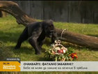 Дамата на зоопарка в Берлин става на 59 години