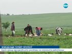 Земеделци се готвят за протести