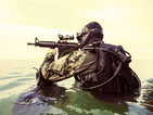 Морските тюлени - примадоната на американската армия