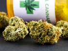 Германия легализира медицинската марихуана