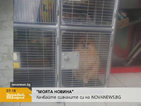 От „Моята новина”: Куче в клетка за чанти в супермаркет