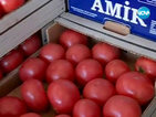Съветите на експерта как да познаем качествените домати (ВИДЕО)