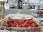 Гнили домати за служителите на Социалното министерство