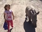 Тригодишно момиченце се сприятели с малък носорог (СНИМКА)
