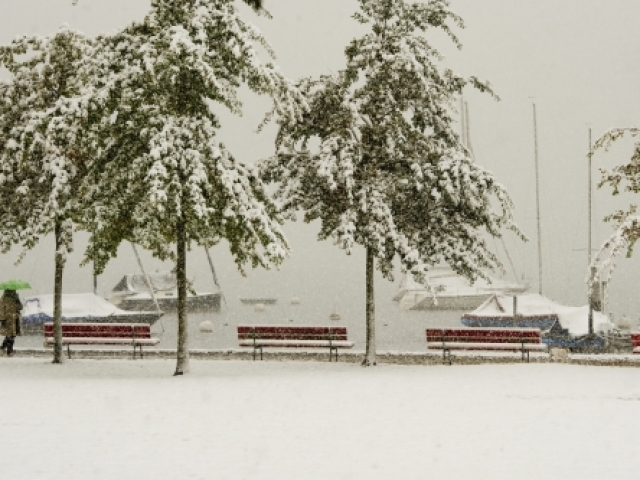 Снежна покривка натрупа и в Германия, Швейцари, високите части на Италия и Испания. Снимки: БГНЕС