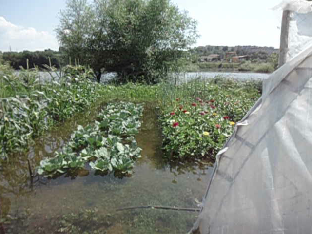 Наводнени градини в Кърджали