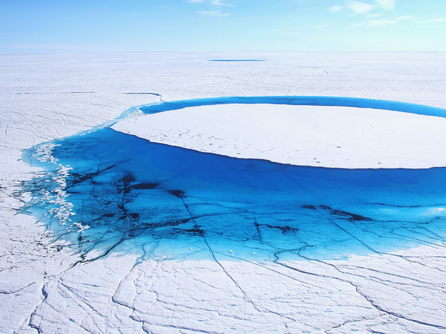 Снимки: Getty Images