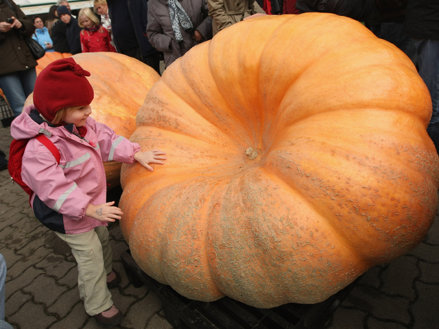 Снимка: Getty Images