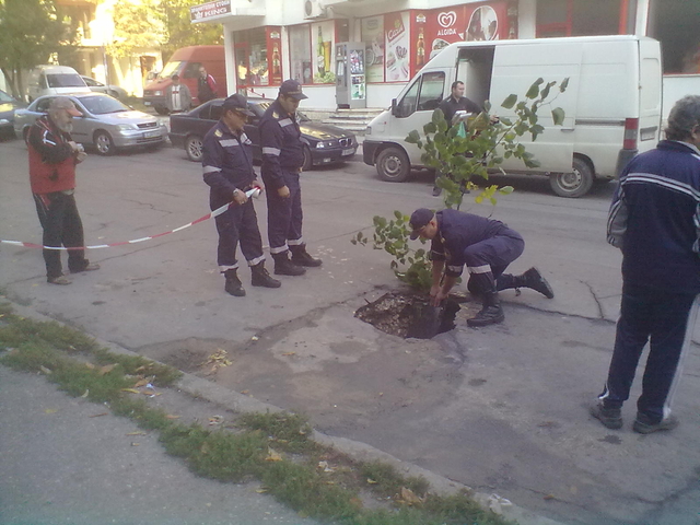 Поредният извор в Добрич