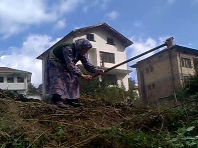 Баба от село Малка Арда на 95 г. копае трева