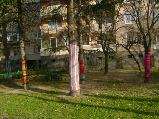 Облечени дръвчета в Пловдив