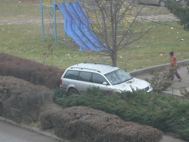 Кола "паркира" в храсти и събаря мантинела 2
