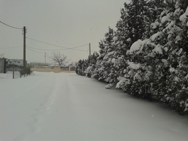 Зимата в Силистра