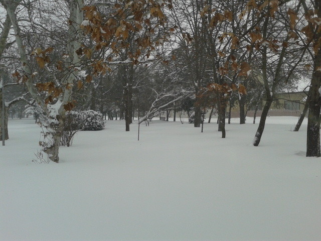 Зимата в Силистра