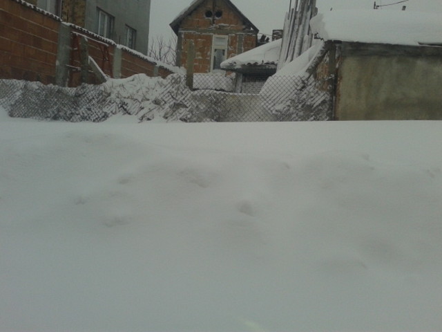 В Силистра имаме "малко" сняг! 2