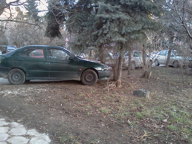 Паркирали коли в тревните площи 3