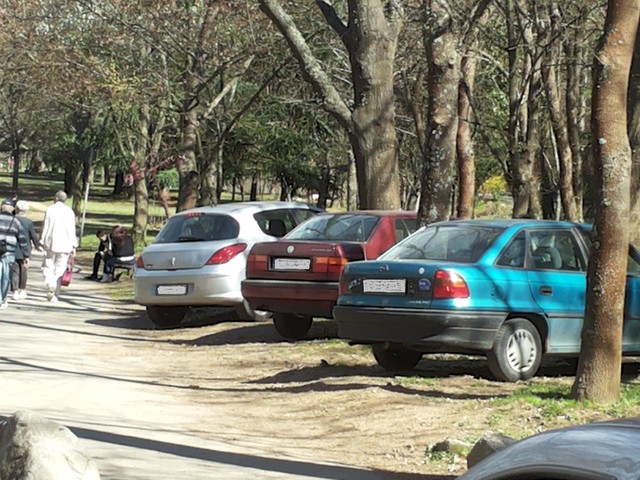 Паркиране на тревата в парка