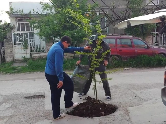 Засей дръвче, спаси град