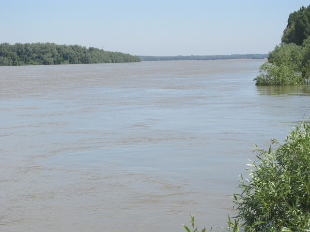 Река Дунав. Снимка: БГНЕС
