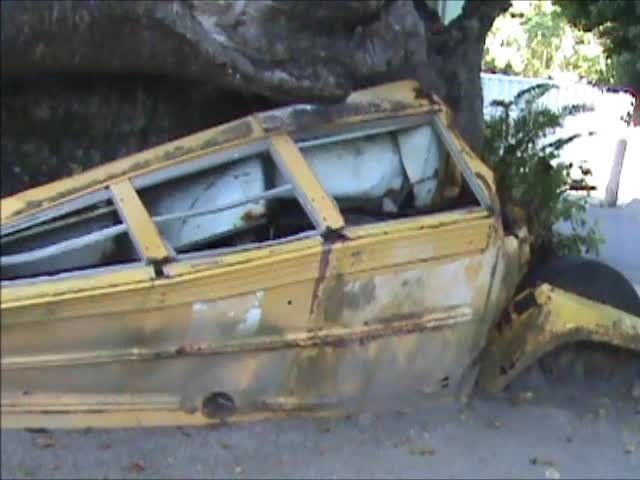 Така изглежда паркиран автобус, върху който е паднал боабаб