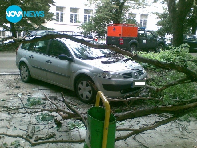 Огромен клон падна на метри от детска площадка и училище във Варна