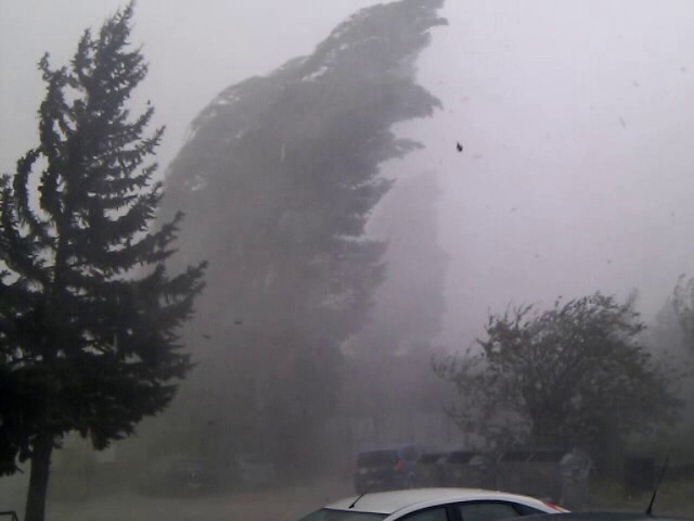 Бурята в София, "Цариградско шосе", 7-ми км. ЗИТ