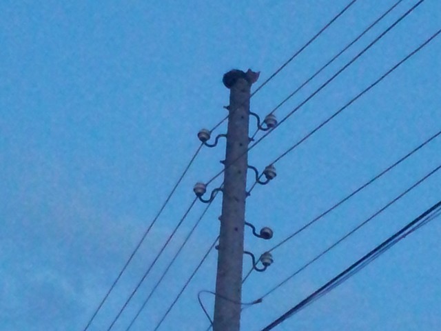 Да помогнем