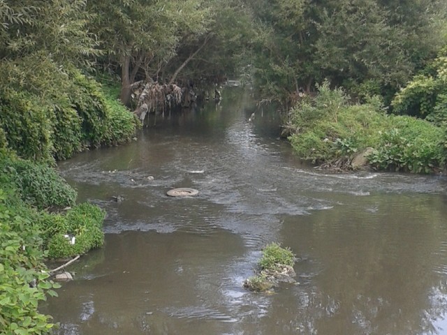 Ужасна миризма и мърсотия до манастир Свети Мина