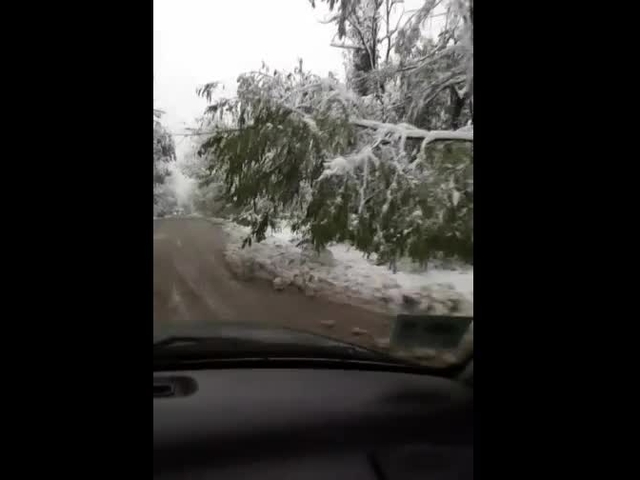 Пътна обстановка В. Търново - с. Самоводене